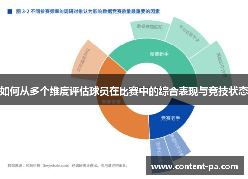 如何从多个维度评估球员在比赛中的综合表现与竞技状态