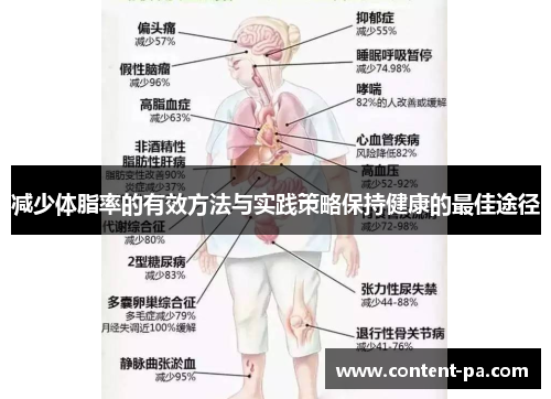 减少体脂率的有效方法与实践策略保持健康的最佳途径