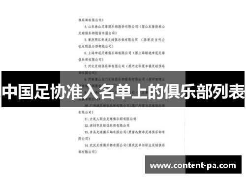中国足协准入名单上的俱乐部列表