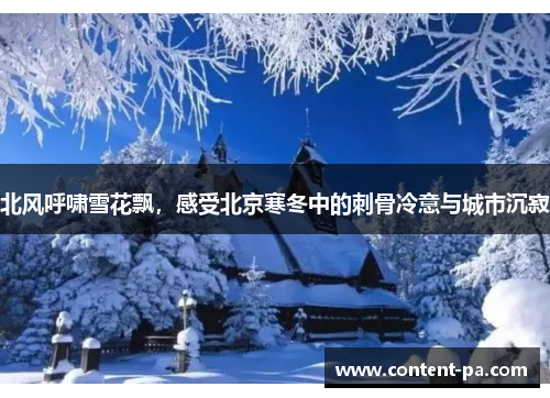 北风呼啸雪花飘，感受北京寒冬中的刺骨冷意与城市沉寂