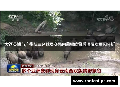 大连英博与广州队三名球员交易内幕揭晓背后深层次原因分析