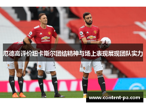 厄德高评价纽卡斯尔团结精神与场上表现展现团队实力