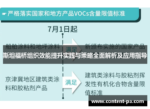 斯坦福桥组织效能提升实践与策略全面解析及应用指导