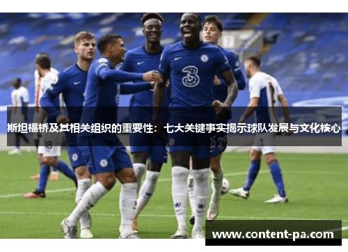 斯坦福桥及其相关组织的重要性：七大关键事实揭示球队发展与文化核心