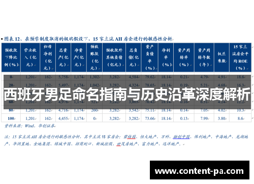 西班牙男足命名指南与历史沿革深度解析