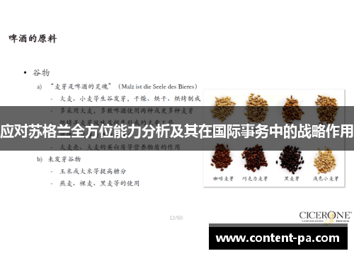 应对苏格兰全方位能力分析及其在国际事务中的战略作用