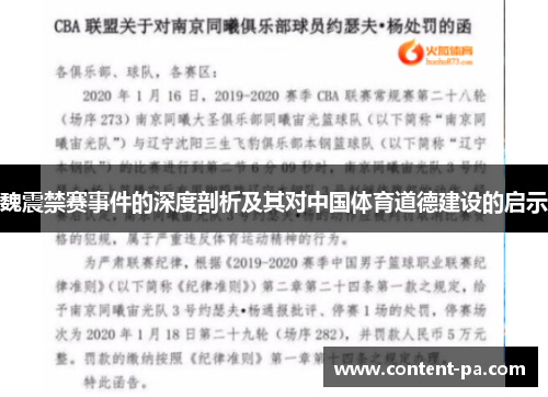 魏震禁赛事件的深度剖析及其对中国体育道德建设的启示
