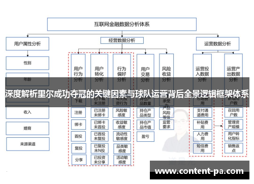 深度解析里尔成功夺冠的关键因素与球队运营背后全景逻辑框架体系