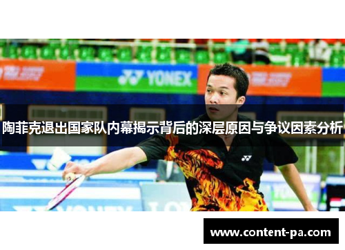 陶菲克退出国家队内幕揭示背后的深层原因与争议因素分析 陶菲克退出国家队内幕揭示背后的深层原因与争议因素分析