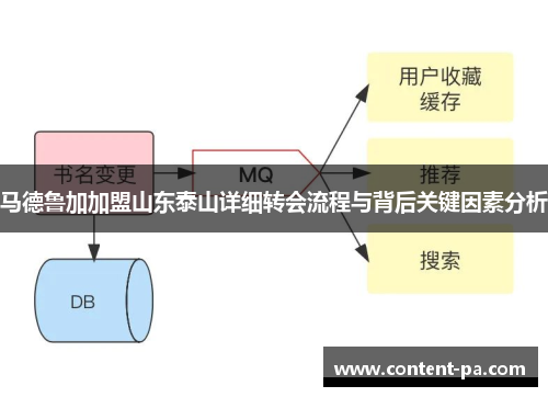 马德鲁加加盟山东泰山详细转会流程与背后关键因素分析