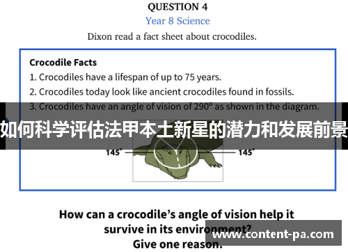如何科学评估法甲本土新星的潜力和发展前景