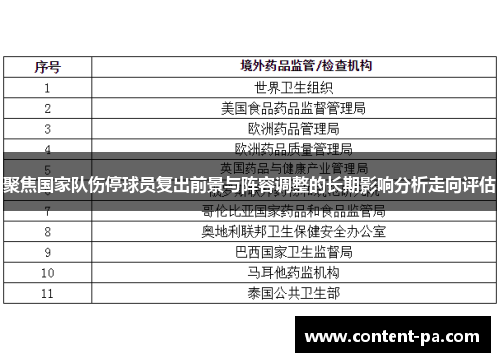 聚焦国家队伤停球员复出前景与阵容调整的长期影响分析走向评估