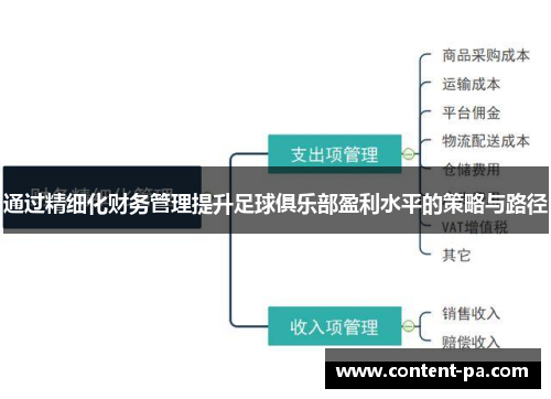 通过精细化财务管理提升足球俱乐部盈利水平的策略与路径