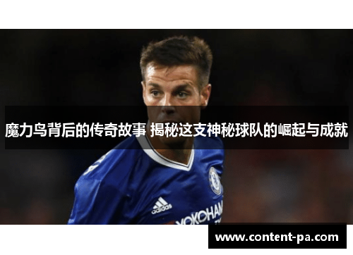 魔力鸟背后的传奇故事 揭秘这支神秘球队的崛起与成就