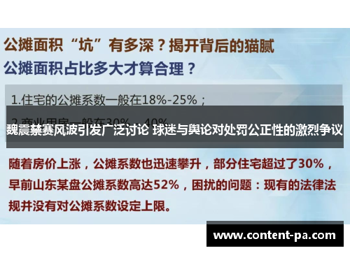 魏震禁赛风波引发广泛讨论 球迷与舆论对处罚公正性的激烈争议