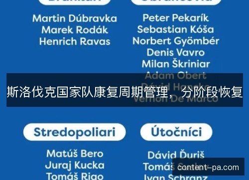 斯洛伐克国家队康复周期管理，分阶段恢复